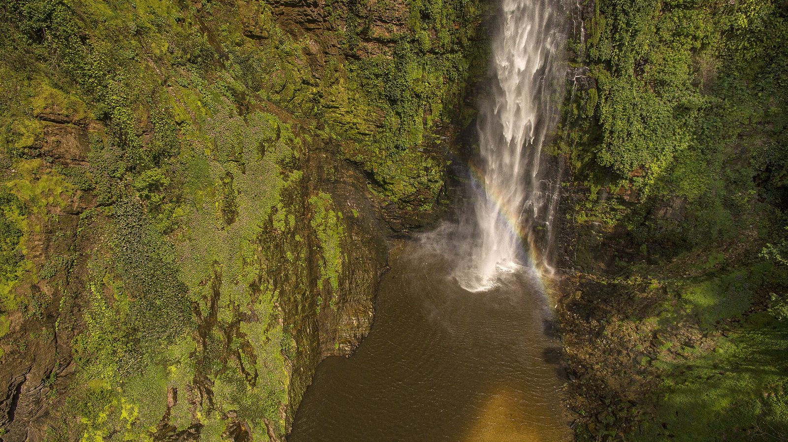 Wli Falls dropping through green forest, seen from above