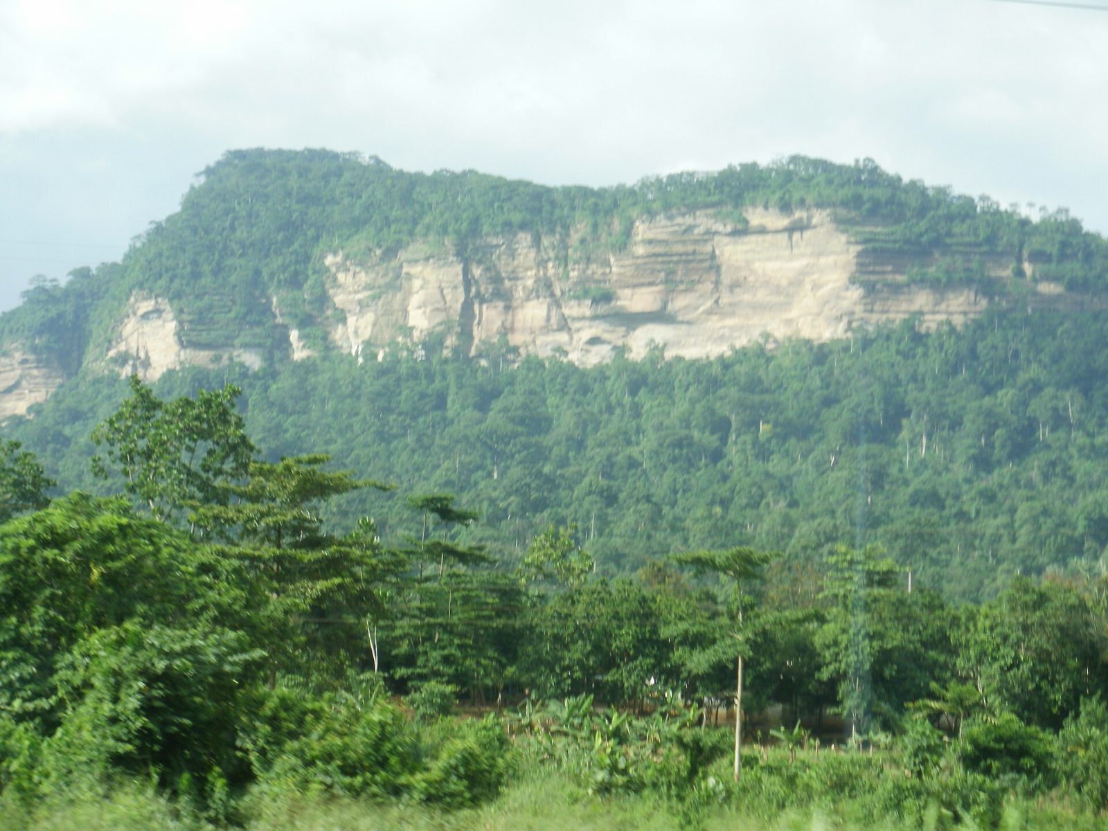 The forested cliffs of the Kwahu ridge