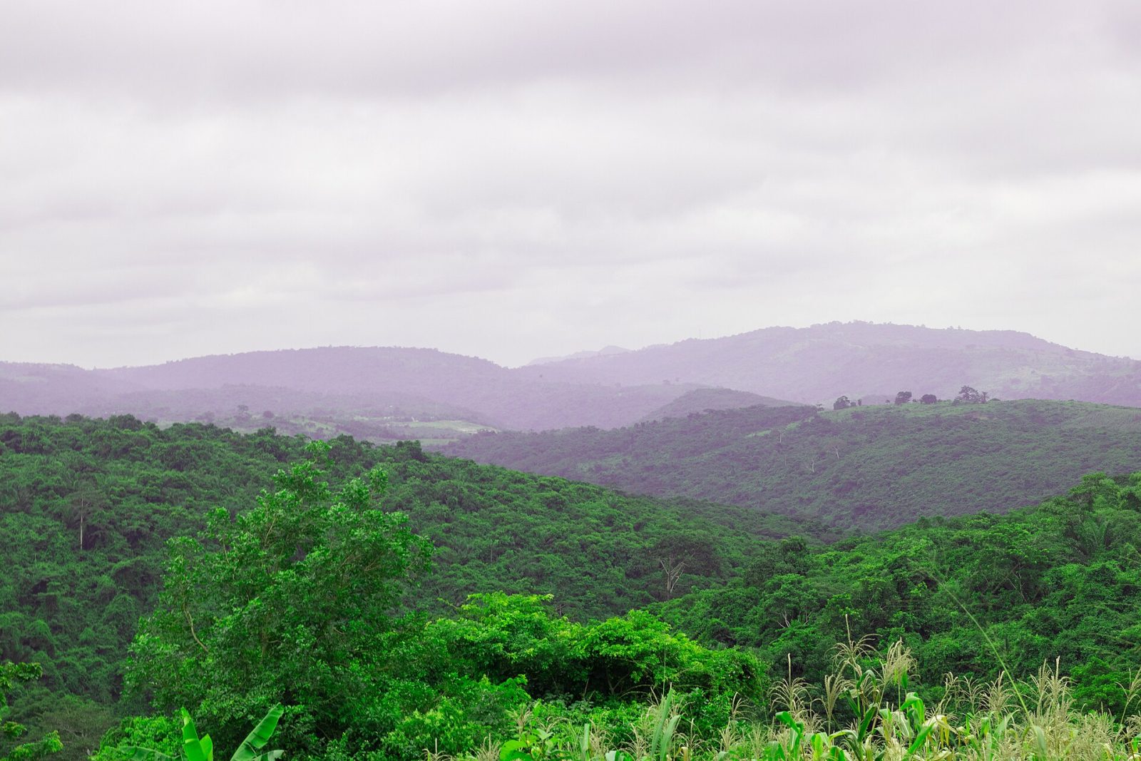Landscape at Aburi in the Eastern Region of Ghana