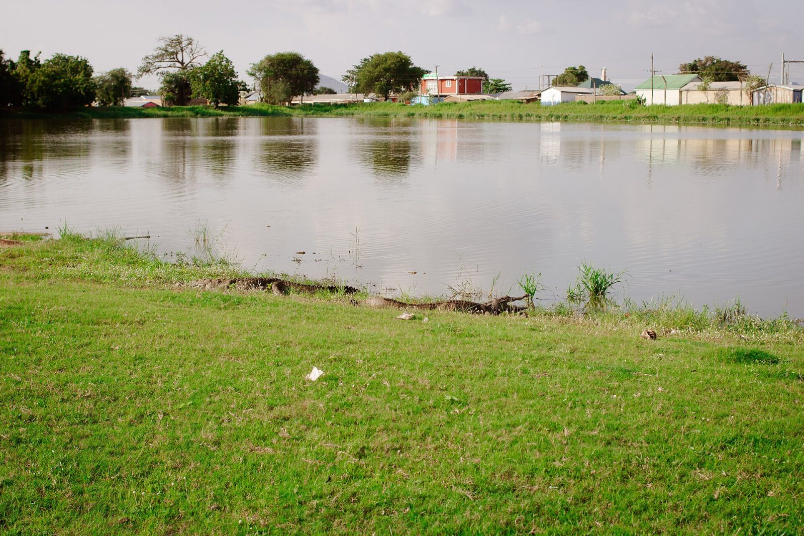 Paga crocodile pond