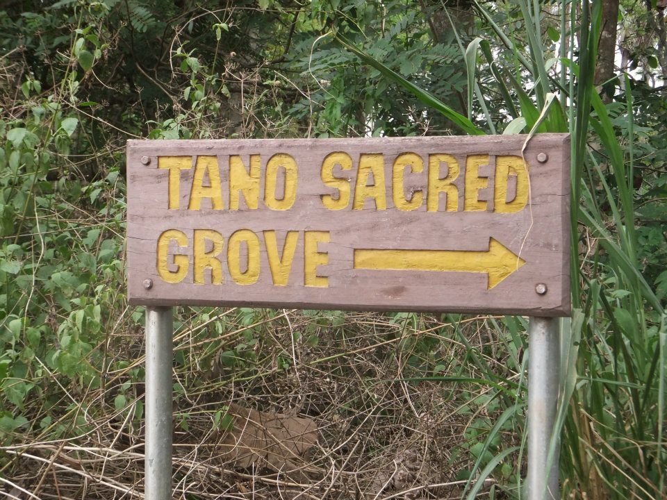 Tano Sacred Grove and Shrine in Ghana