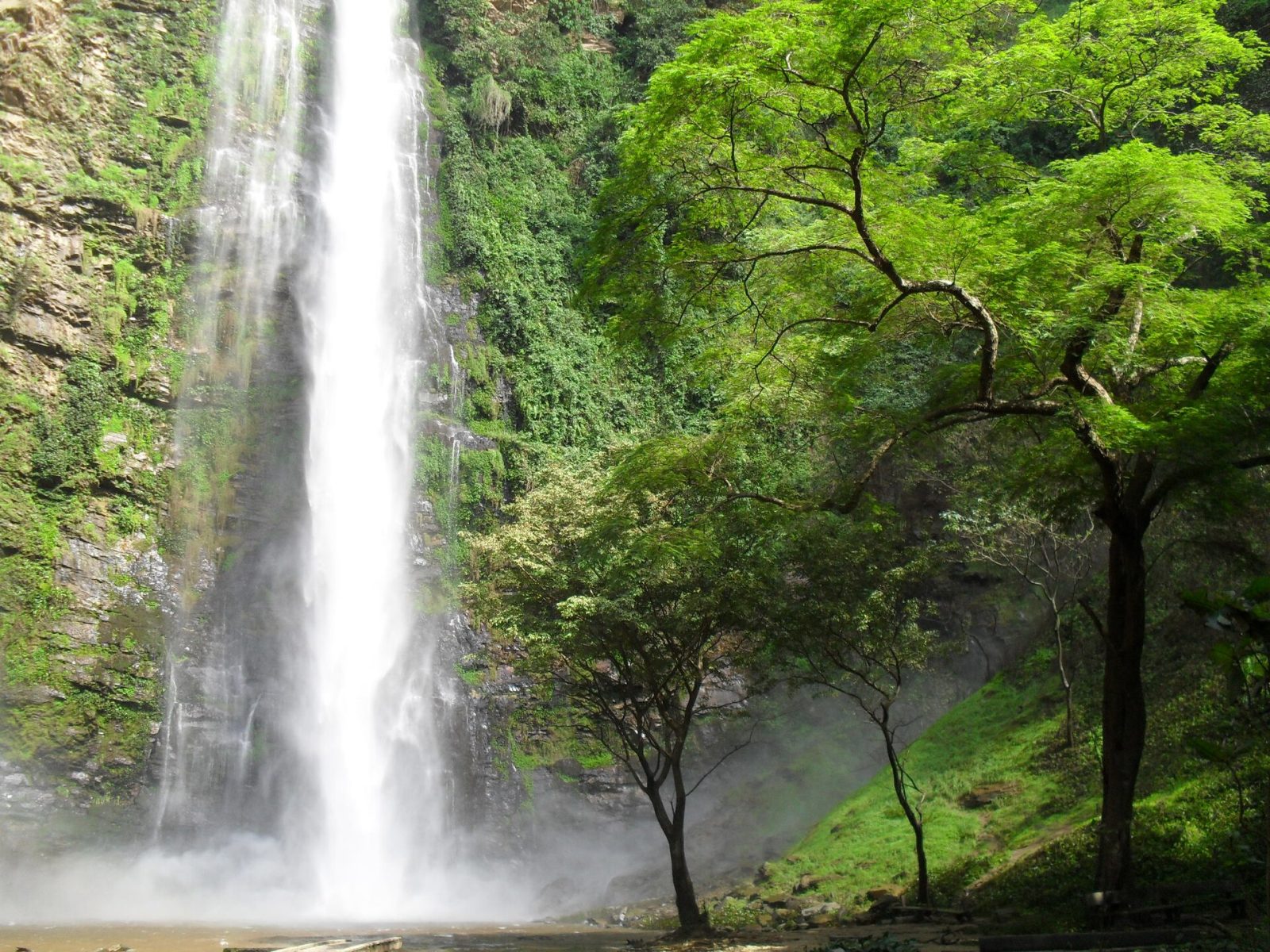 Wli Waterfall