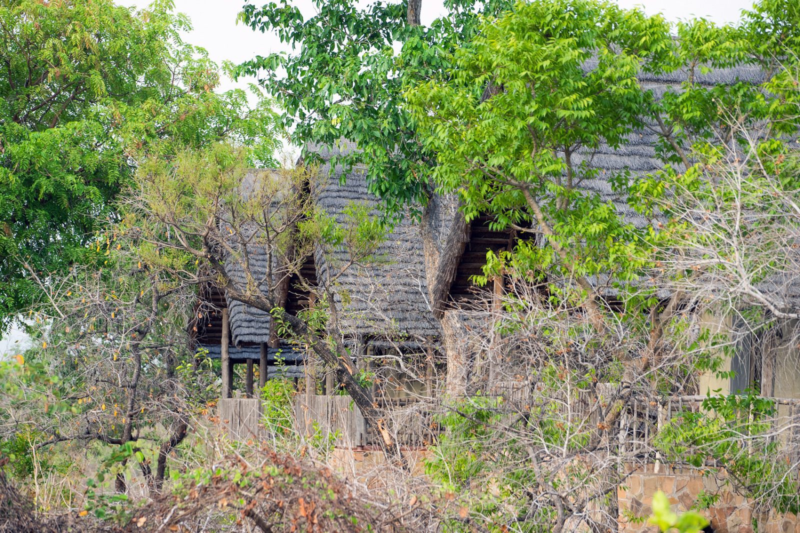 Zaina Lodge in Mole